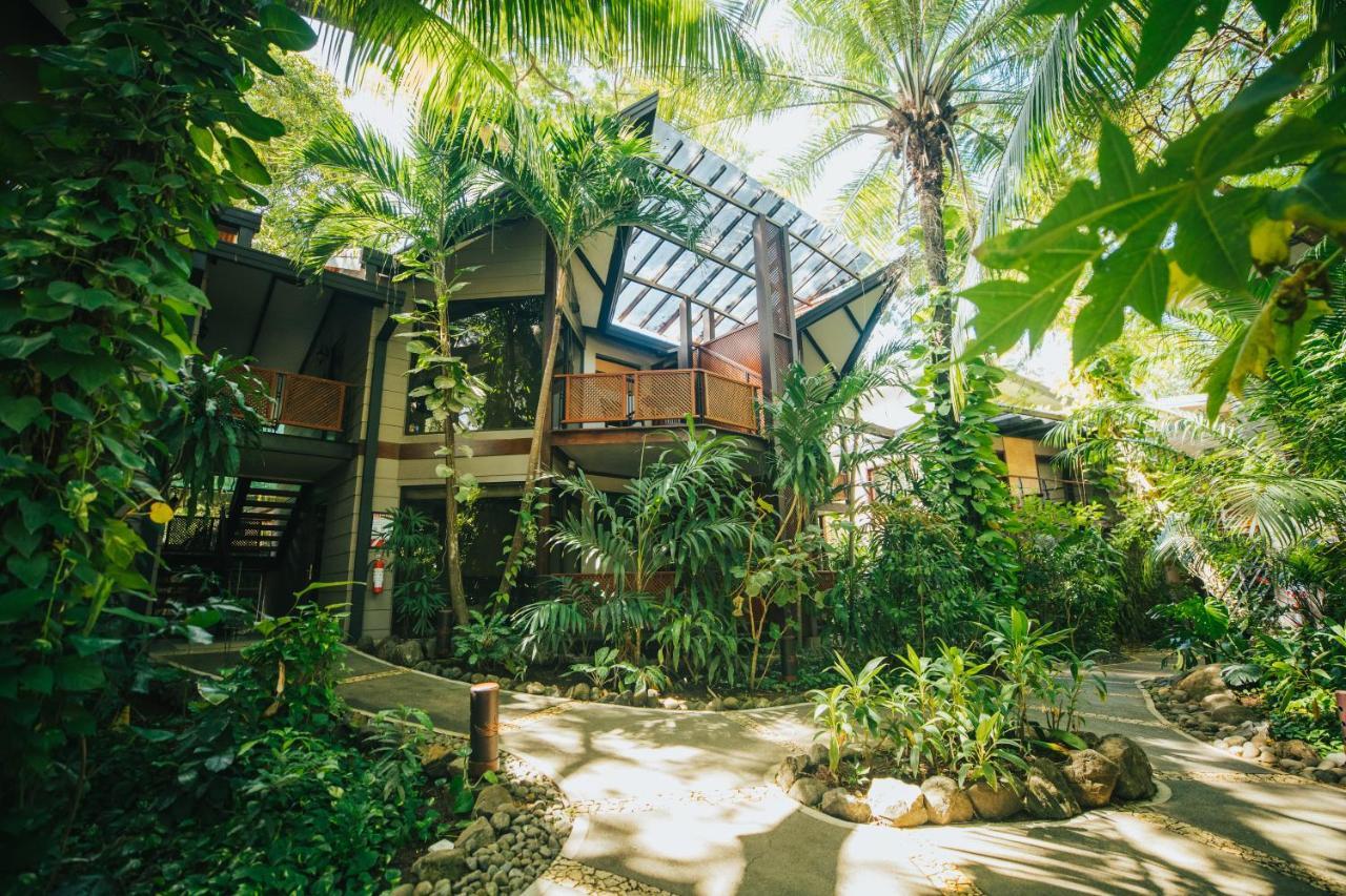 Tropical Suite,1334257679:JPEG